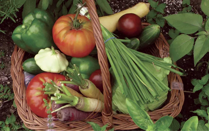 A canvas grocery bag filled with fresh vegetables, grains, and produce arranged on a light wooden surface